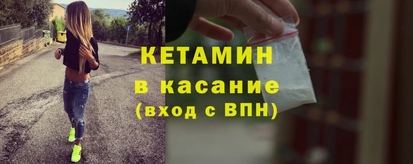 сатива Абаза
